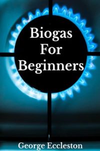 Biogas for beginners